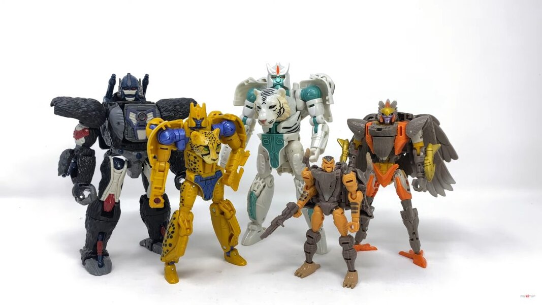 transformers kingdom tigatron toy release date